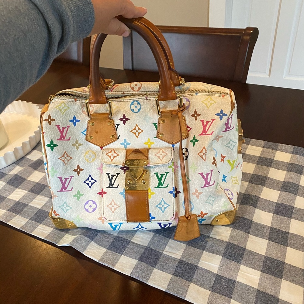 Louis Vuitton Multi Color